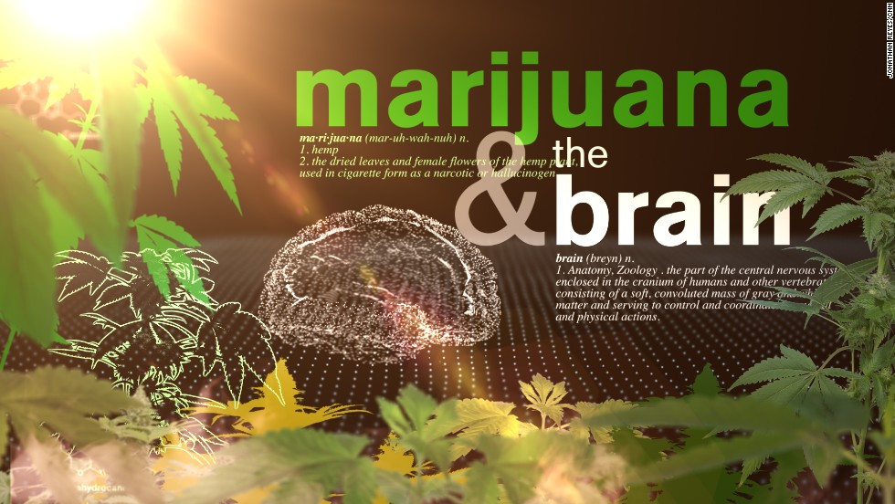 cannabis oil for anxiety