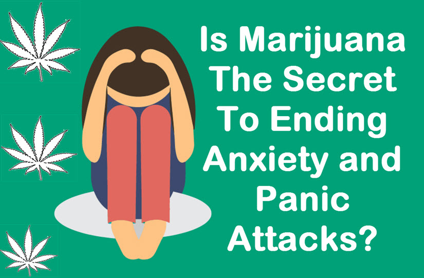 cannabis oil for anxiety